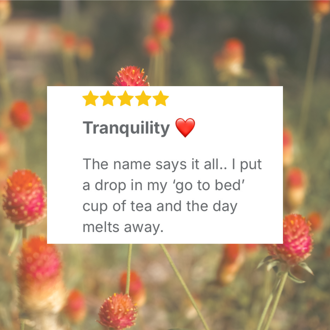 Tranquillium Tincture (Anti-Anxiety and Insomnia)