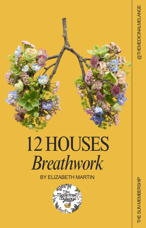 12 Houses Breakthwork (Digital Download)